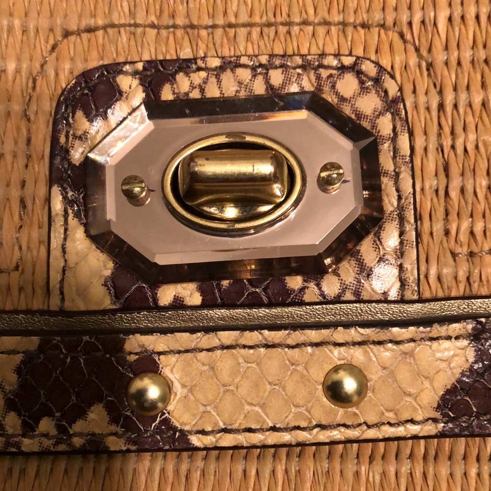 Coach Straw Python Clutch - image 3